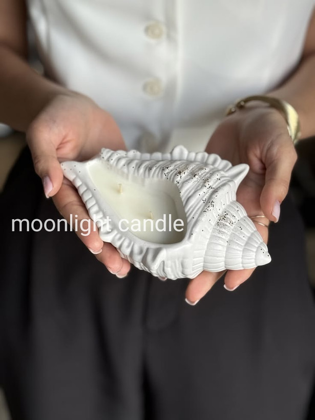 گیفت شات دریایی طرح سنگی moonlight برای دکوراسیون و هدیه
