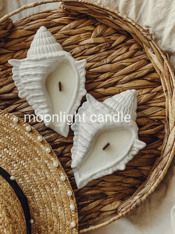 گیفت شات دریایی طرح سنگی moonlight برای دکوراسیون و هدیه